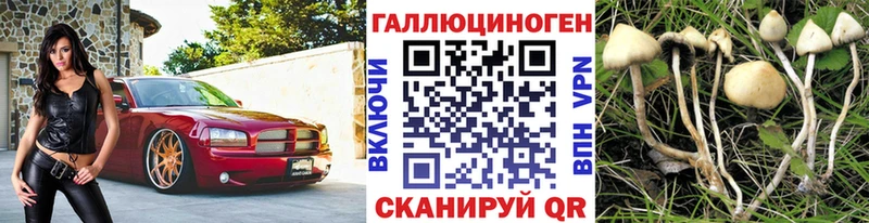 где купить наркоту  Зарайск  blacksprut онион  Псилоцибиновые грибы прущие грибы 